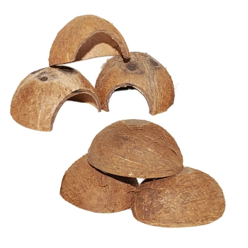 FM Скорлупа кокосового ореха с отверстием (половинка) домик для грызунов, шт