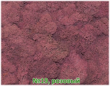 Мох стабилизированный №19 розовый, 30*40 см, пак