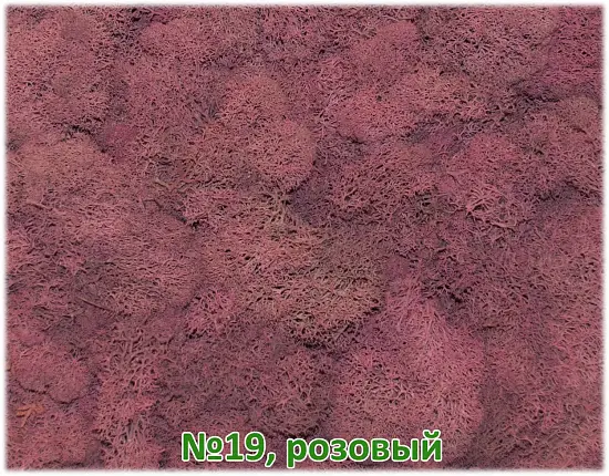 Мох стабилизированный №19 розовый, 30*40 см, пак