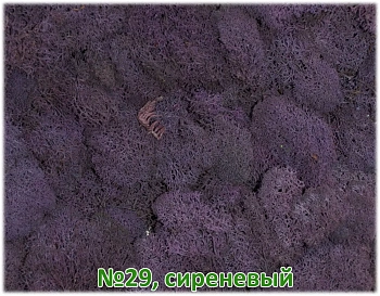 Мох стабилизированный №29 сиреневый, 30*40 см, пак