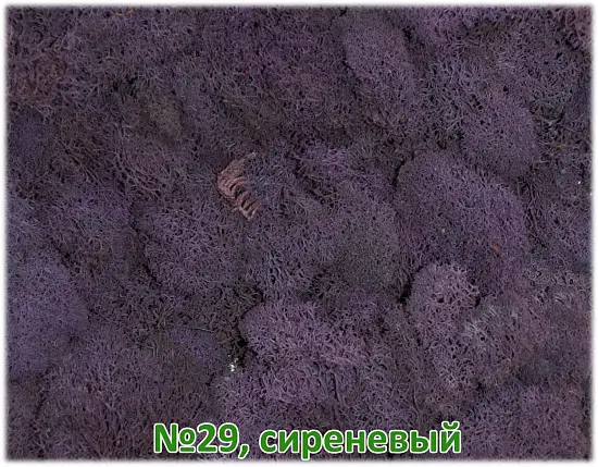 Мох стабилизированный №29 сиреневый, 30*40 см, пак