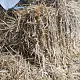 Солома золотистая, тюк