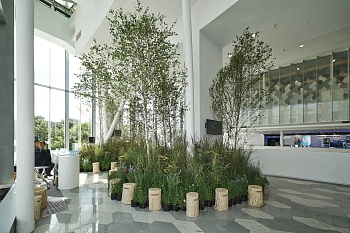 Табурет-чурбак дубовый, Ø 20-25, h 36-40 см