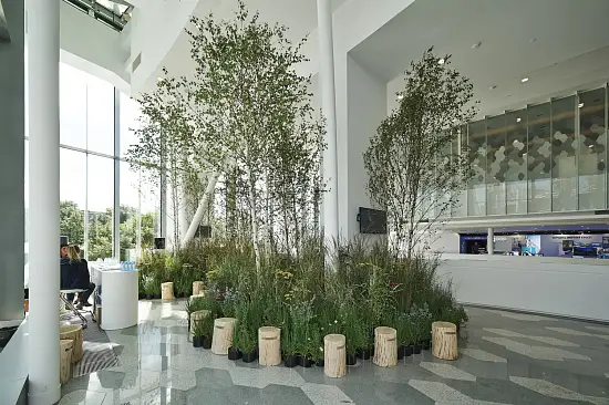 Табурет-чурбак дубовый, Ø 20-25, h 36-40 см