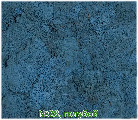 Мох стабилизированный №28 голубой, 30*40 см, пак