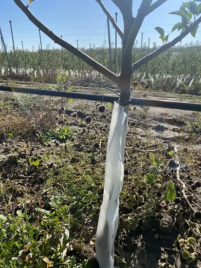 Бинт садовый отрывной УФ, 0,16*50 м