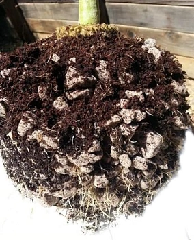 Пеностекло Субстрат Growplant, фр.  0,8-5 мм, зеленый, 50 л 