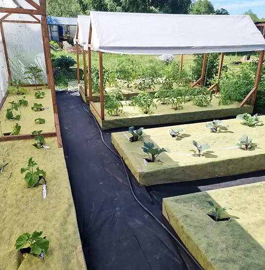 Агротекс двойная защита Желто-чёрный 80, 1,6*5 м, уп