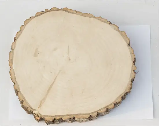 Спил осина шлифовка СОсШ1, (Ø 25-30 см, h 3см), шт