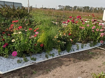 Мульча целлюлозная сухая (разнофракционная), 50 л, 20 кг 