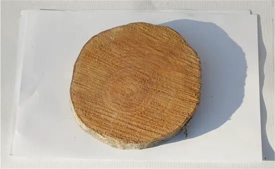 Спил ольха без шлифовки СОл (Ø 15-20см, h 2см), шт