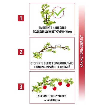 Скобы M-образные для фиксации веток (веткодержатель), сталь, 10 шт/уп