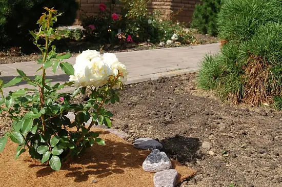 Nekura Укрытие кокосовое "Мульчаграм", 0,75 x 6 м, рул