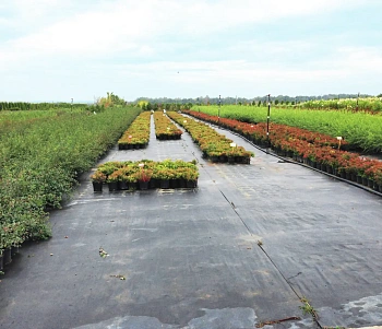 Агротекс Геоткань 150, Черный, 4,2*100 м, рул.