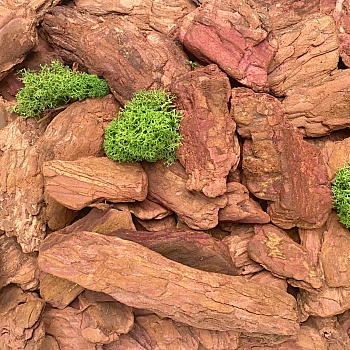 Кора лиственницы Галтованная 4-10 см, 60 л