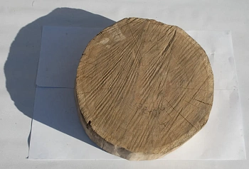 Спил дуб шлифовка СДШ2, (Ø 40-50см, h 8-10см), шт
