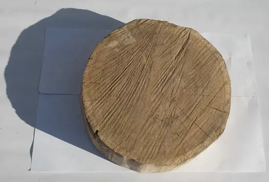 Спил дуб шлифовка СДШ2, (Ø 40-50см, h 8-10см), шт