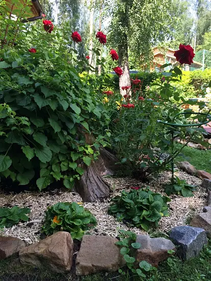 Костра конопляная, мелкая 0-3 см, малый брикет 40 л