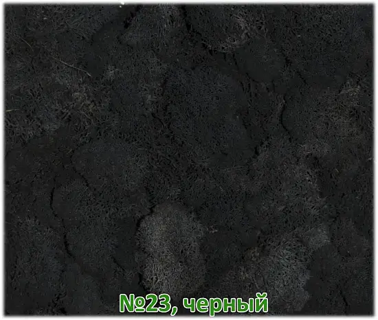 Мох стабилизированный №23 черный, 30*40 см, пак