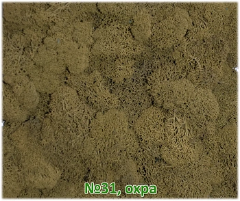 Мох стабилизированный №31 охра, 30*40 см, пак