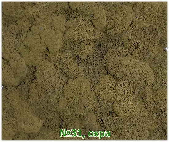 Мох стабилизированный №31 охра, 30*40 см, пак