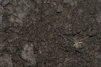 Торф верховой,  60 л