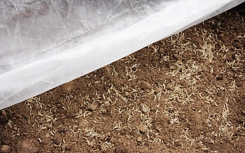 Агротекс Белый 17, 3,2*10 м, уп