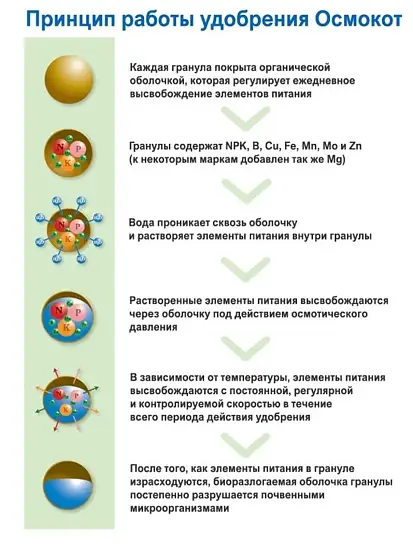 Осмокот Про (Osmocote Pro) 19-9-10+2MgO+ТЕ 3-4 месяца, 1 кг