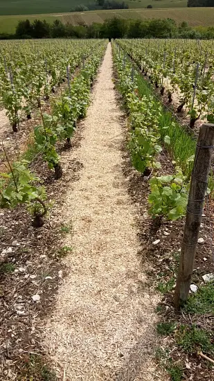 Костра конопляная, мелкая 0-3 см, малый брикет 40 л