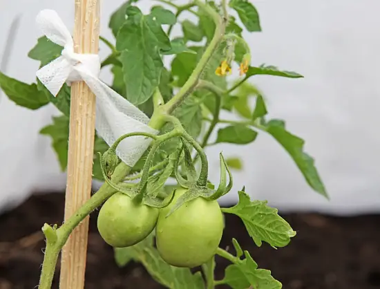 Лента для подвязки растений УФ, L=15 м, шт