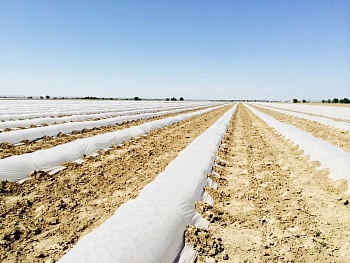 Агротекс Белый 42, 3,2*10 м, уп