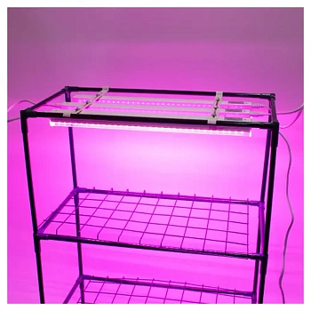 Светильник для растений Garden Show Маргарита красно-синий спектр 6.8 Вт, 380 мм