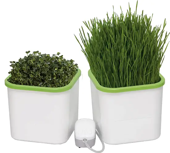 Проращиватель зеленой травки для кошек «Здоровья Клад» 