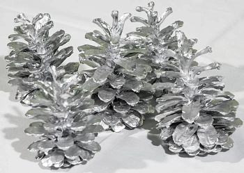 Шишка сосновая крупная поштучно, шт