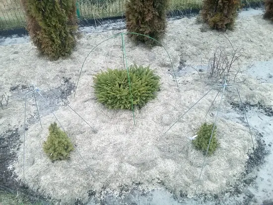 Костра льняная, 60 л мешок