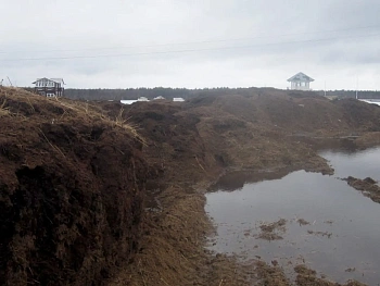 Навоз Конский Люкс, 60 л