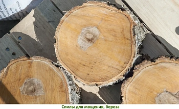 Спилы поквадратно дуб для мощения, (Ø 10-35см, h 8см), м.кв.