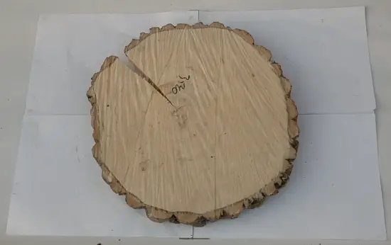 Спил осина без шлифовки СОс, (Ø 35-40 см, h 3см), шт