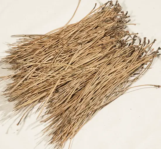 Иголки сосновые, 60 л