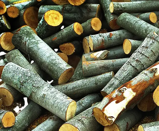 Полено березовое, Ø 5-10, h 50 см, шт.