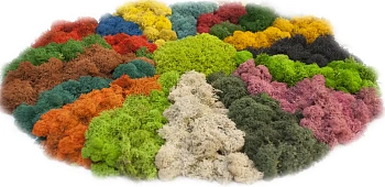 Мох стабилизированный №8 зеленое яблоко, 30*40 см, пак