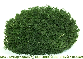 Мох - кочка 'кладония', Зеленый основной, Ø 10-15 см, шт