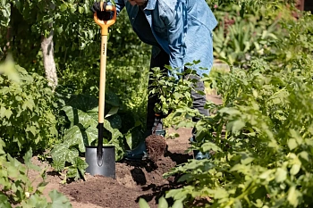 Plantic Лопата штыковая Дача, арт 11008-01, шт