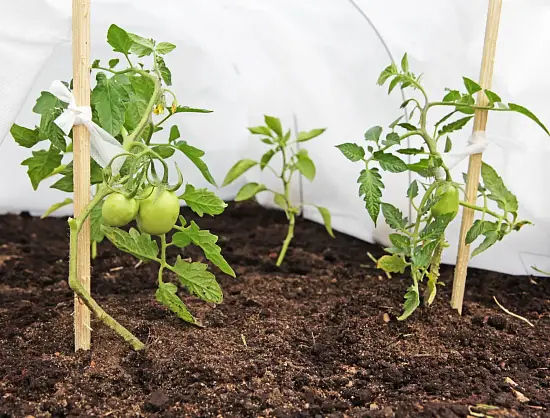 Лента для подвязки растений УФ, L=15 м, шт