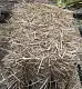 Солома золотистая, тюк