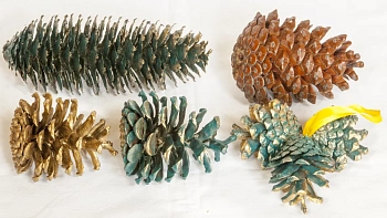 Шишка сосновая мелкая поштучно, шт