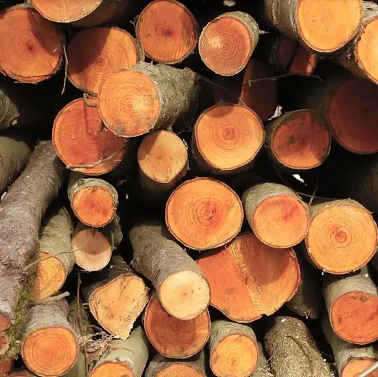 Полено березовое, Ø 5-10, h 50 см, шт.