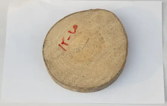 Спил осина шлифовка СОсШ1, (Ø 15-20 см, h 2см), шт