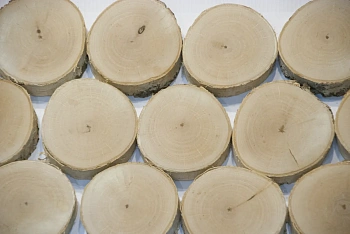 Спилы поквадратно береза шлифовка БЕЗ коры, (Ø 2-15см, h 1,5-2см), м.кв.