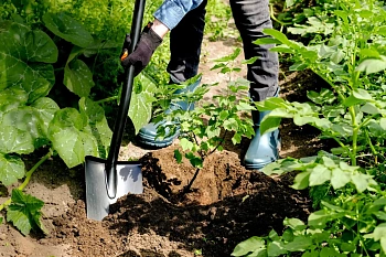 Plantic Лопата штыковая Terra, арт 11005-01, шт